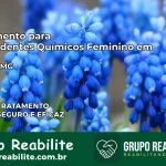 Tratamento para Dependentes Químicos Feminino em Palma – MG
