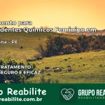 Tratamento para Dependentes Químicos Feminino em Palmeirina – PE