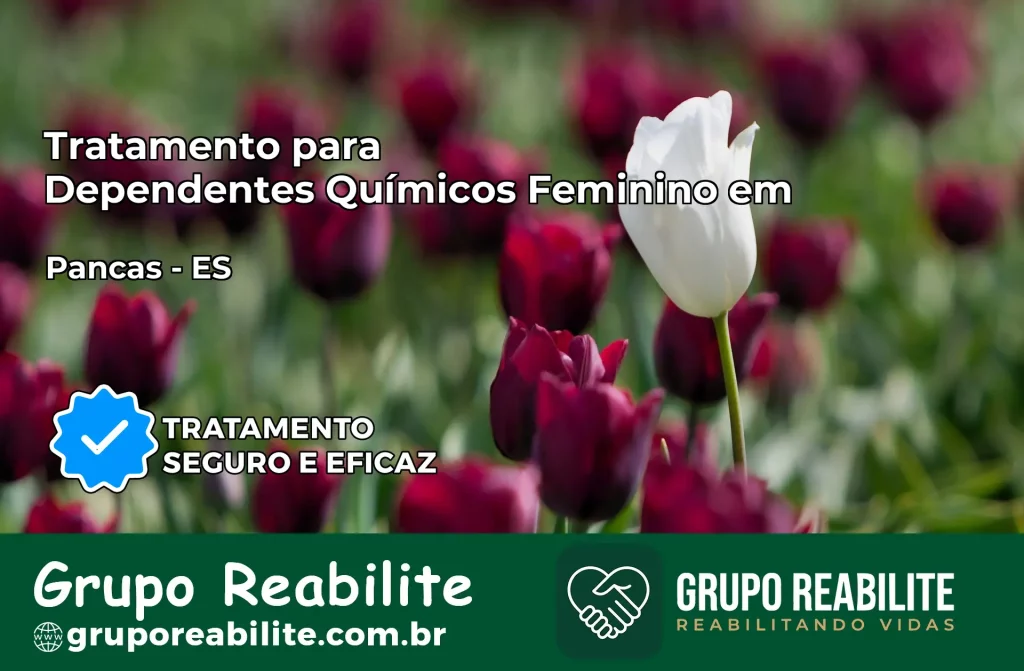 Tratamento para Dependentes Químicos Feminino em Pancas – ES