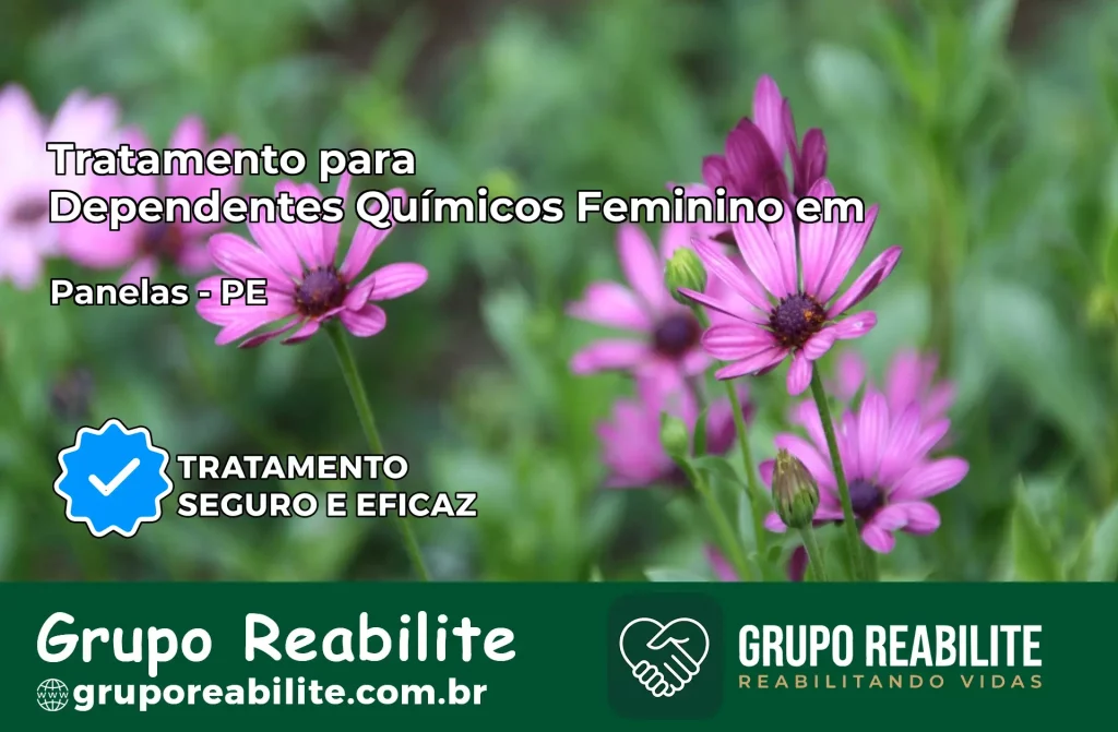 Tratamento para Dependentes Químicos Feminino em Panelas – PE