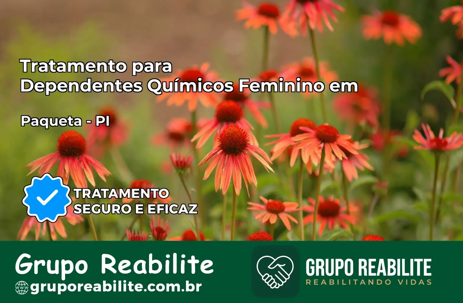 Tratamento para Dependentes Químicos Feminino em Paquetá – PI