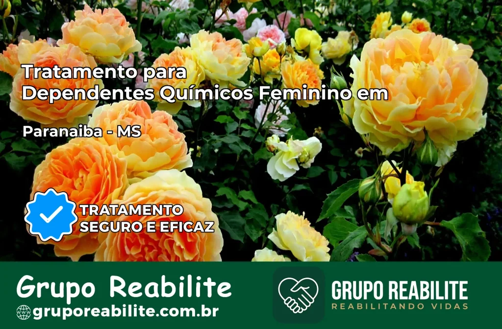 Tratamento para Dependentes Químicos Feminino em Paranaíba – MS