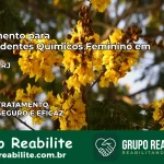 Tratamento para Dependentes Químicos Feminino em Paraty – RJ