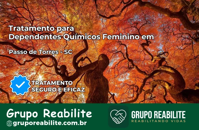 Tratamento para Dependentes Químicos Feminino em Passo de Torres – SC