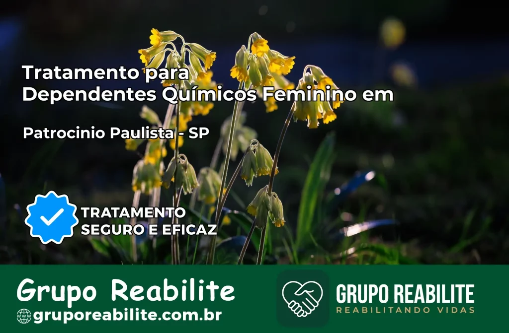 Tratamento para Dependentes Químicos Feminino em Patrocínio Paulista – SP