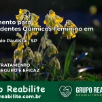 Tratamento para Dependentes Químicos Feminino em Patrocínio Paulista – SP