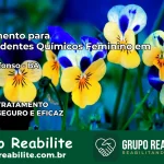Tratamento para Dependentes Químicos Feminino em Paulo Afonso – BA