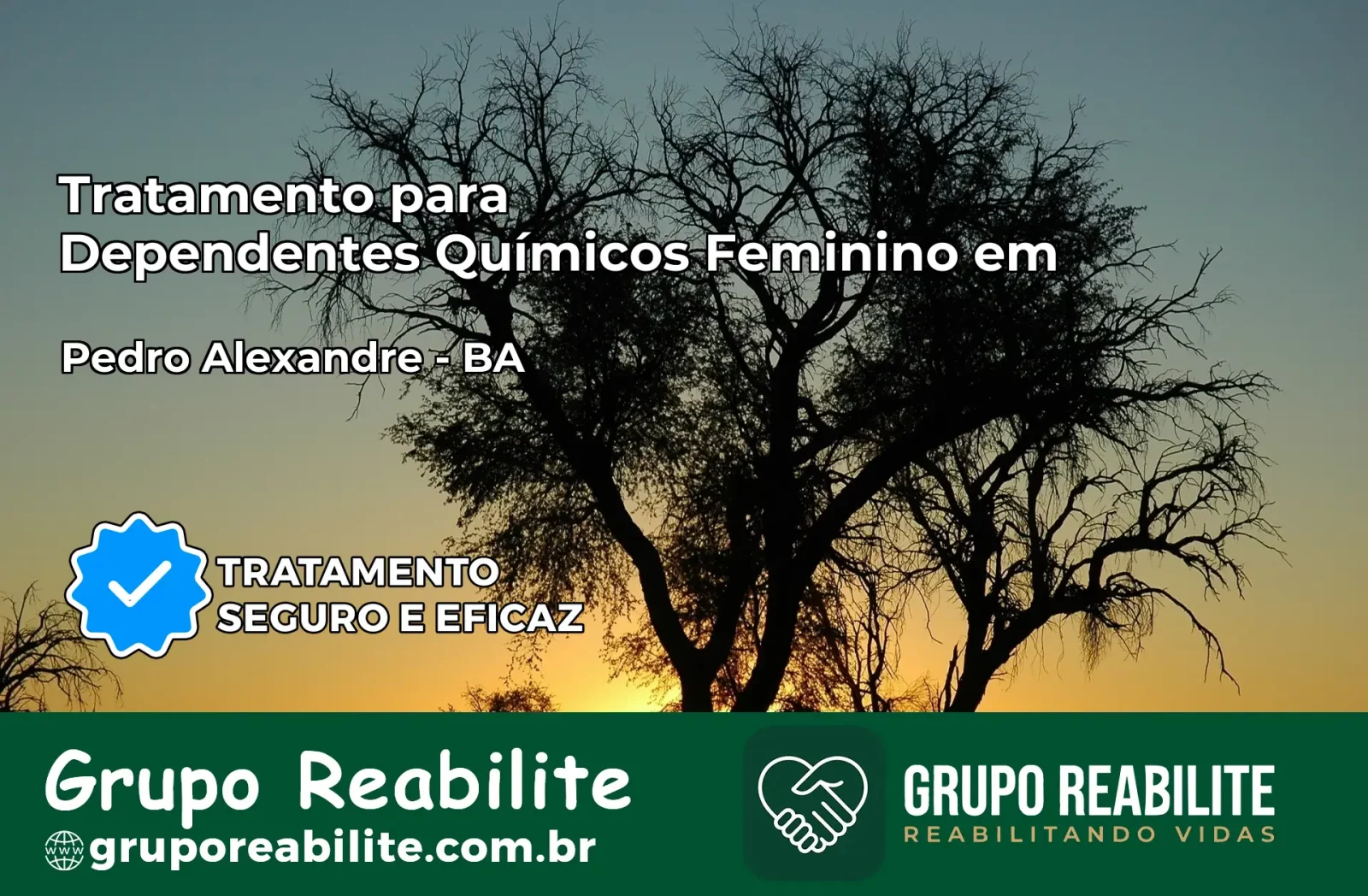 Tratamento para Dependentes Químicos Feminino em Pedro Alexandre – BA