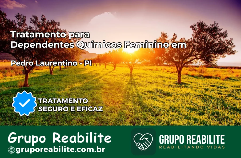 Tratamento para Dependentes Químicos Feminino em Pedro Laurentino – PI