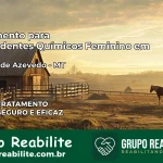 Tratamento para Dependentes Químicos Feminino em Peixoto de Azevedo – MT