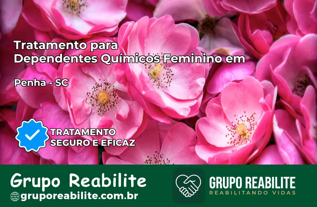 Tratamento para Dependentes Químicos Feminino em Penha – SC