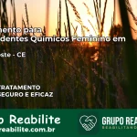 Tratamento para Dependentes Químicos Feminino em Pentecoste – CE