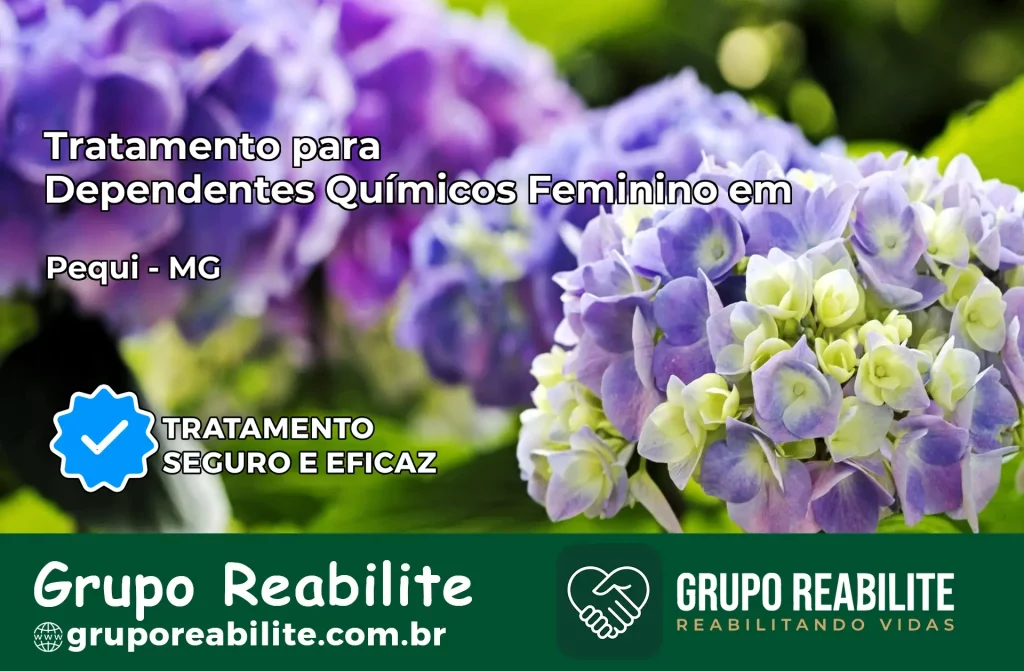 Tratamento para Dependentes Químicos Feminino em Pequi – MG