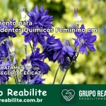 Tratamento para Dependentes Químicos Feminino em Piatã – BA