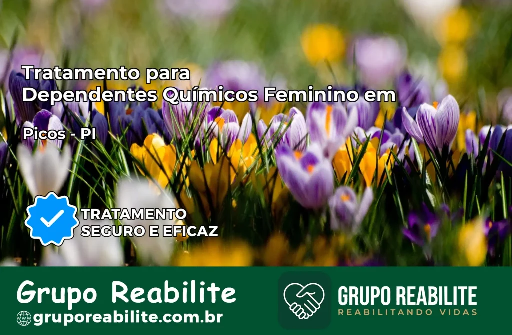 Tratamento para Dependentes Químicos Feminino em Picos – PI