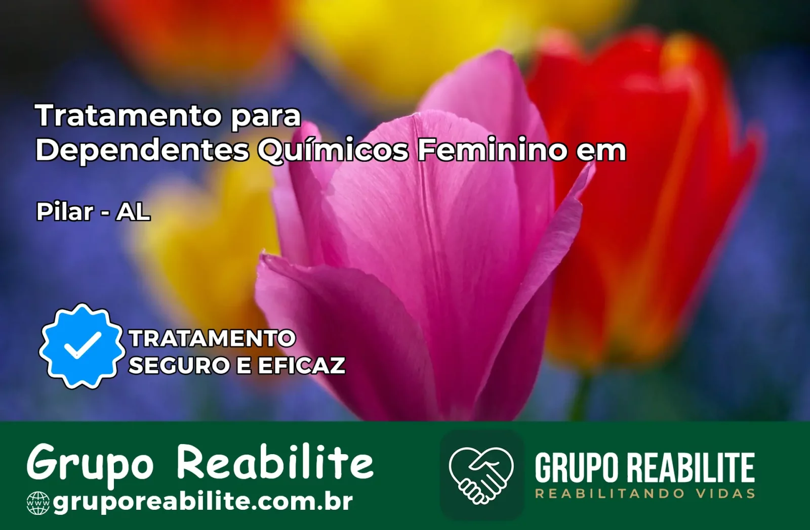 Tratamento para Dependentes Químicos Feminino em Pilar – AL