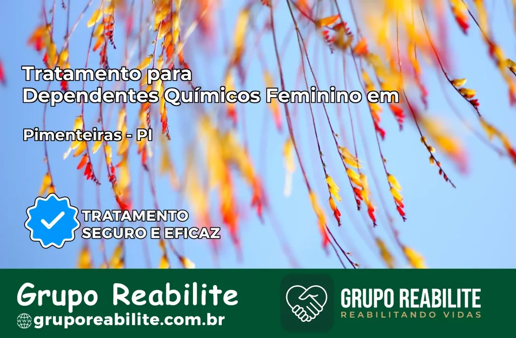 Tratamento para Dependentes Químicos Feminino em Pimenteiras – PI