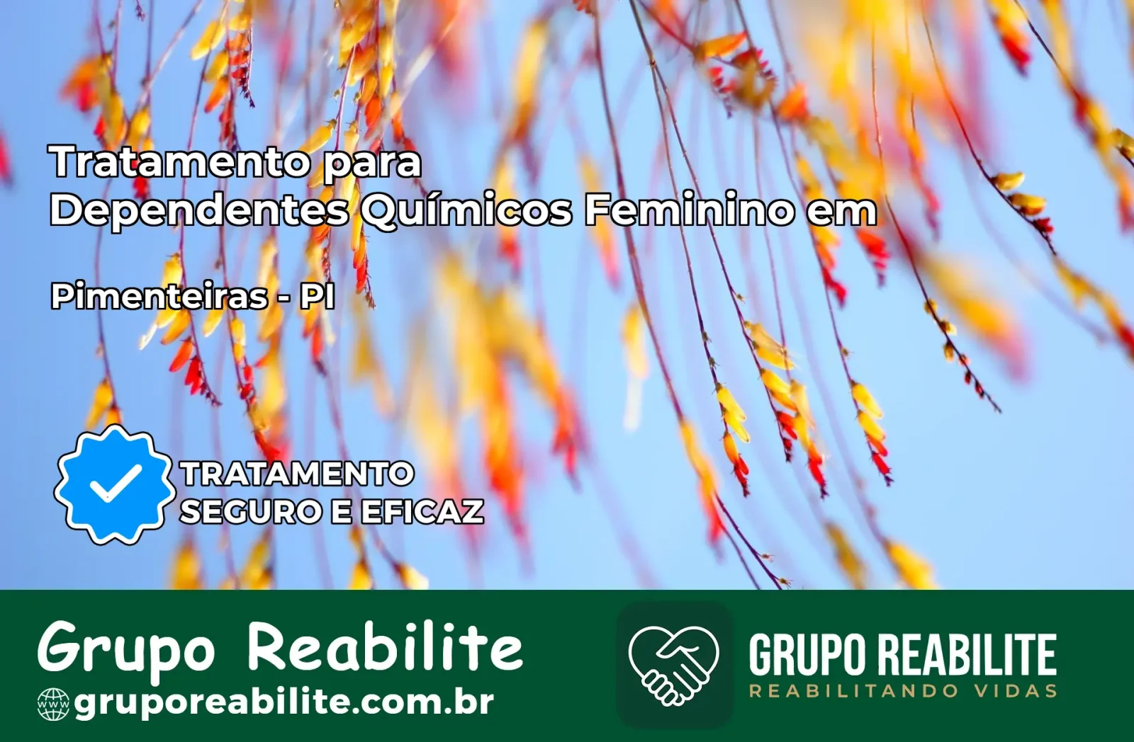 Tratamento para Dependentes Químicos Feminino em Pimenteiras – PI