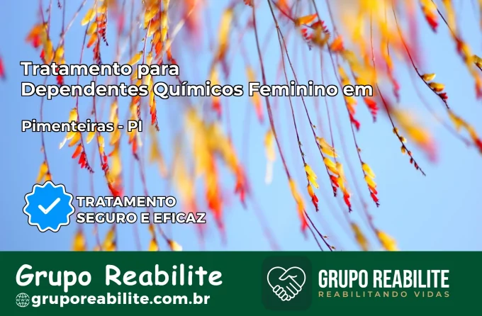 Tratamento para Dependentes Químicos Feminino em Pimenteiras – PI