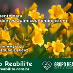 Tratamento para Dependentes Químicos Feminino em Pirajuba – MG