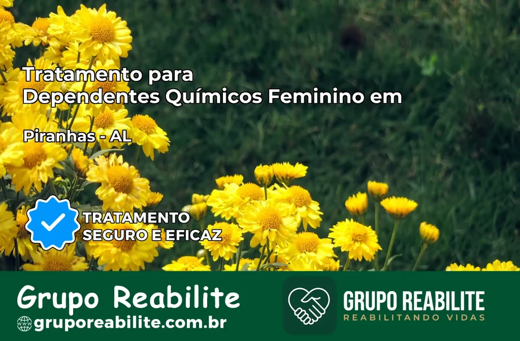 Tratamento para Dependentes Químicos Feminino em Piranhas – AL