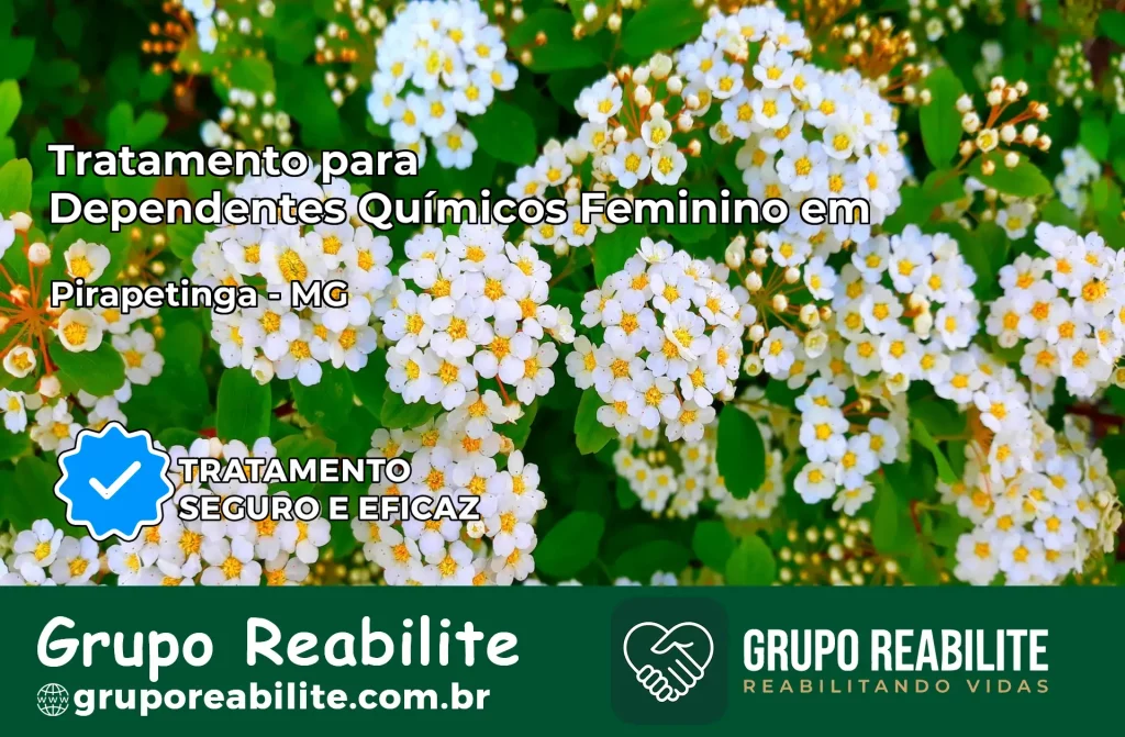 Tratamento para Dependentes Químicos Feminino em Pirapetinga – MG
