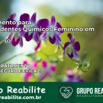 Tratamento para Dependentes Químicos Feminino em Piraquê – TO