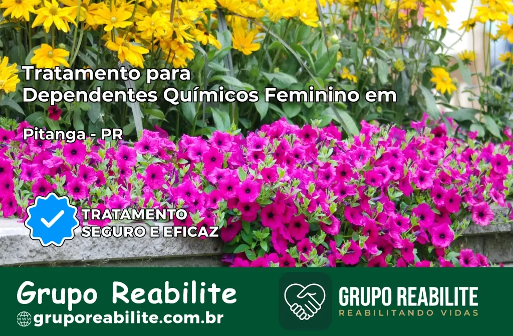Tratamento para Dependentes Químicos Feminino em Pitanga – PR