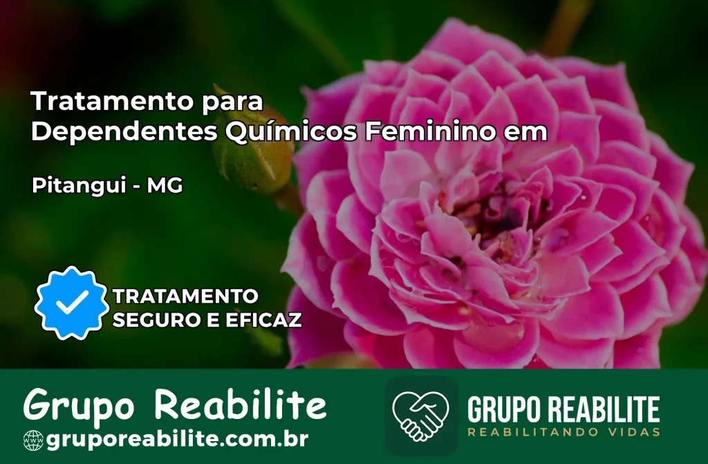 Tratamento para Dependentes Químicos Feminino em Pitangui – MG
