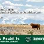 Tratamento para Dependentes Químicos Feminino em Piúma – ES