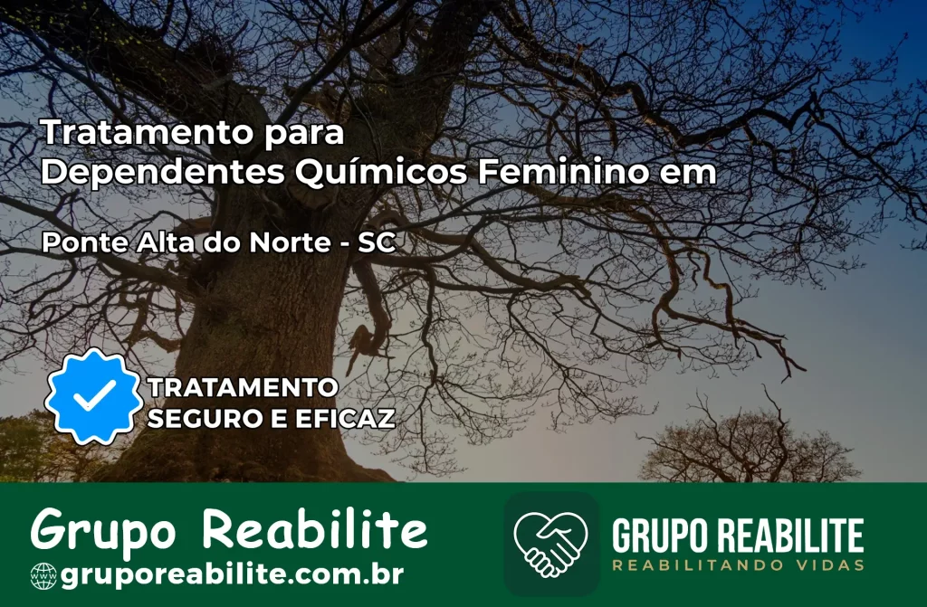 Tratamento para Dependentes Químicos Feminino em Ponte Alta do Norte – SC