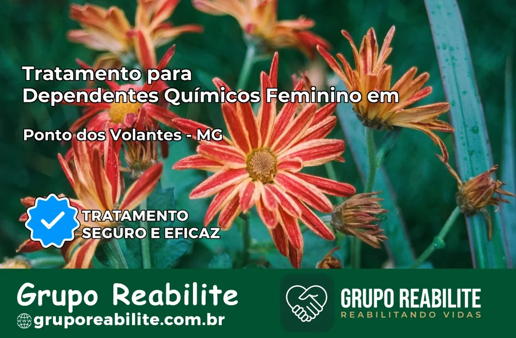 Tratamento para Dependentes Químicos Feminino em Ponto dos Volantes – MG