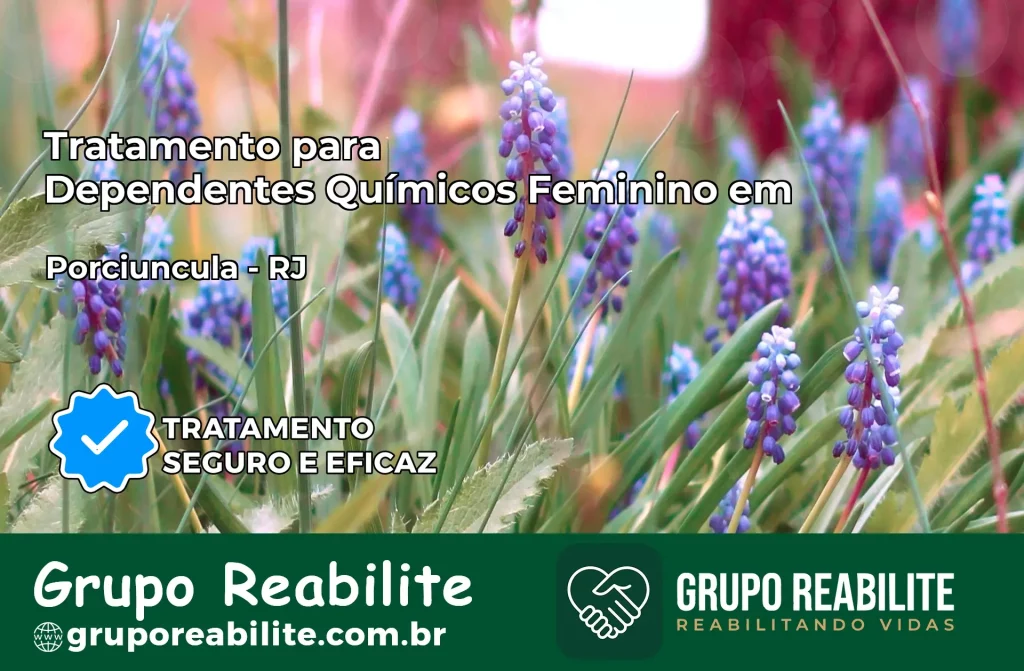 Tratamento para Dependentes Químicos Feminino em Porciúncula – RJ