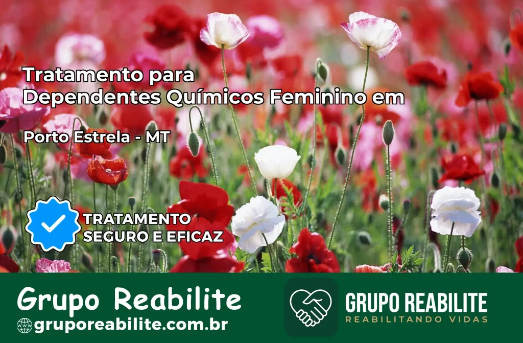 Tratamento para Dependentes Químicos Feminino em Porto Estrela – MT