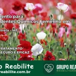 Tratamento para Dependentes Químicos Feminino em Porto Estrela – MT