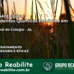 Tratamento para Dependentes Químicos Feminino em Porto Real do Colégio – AL