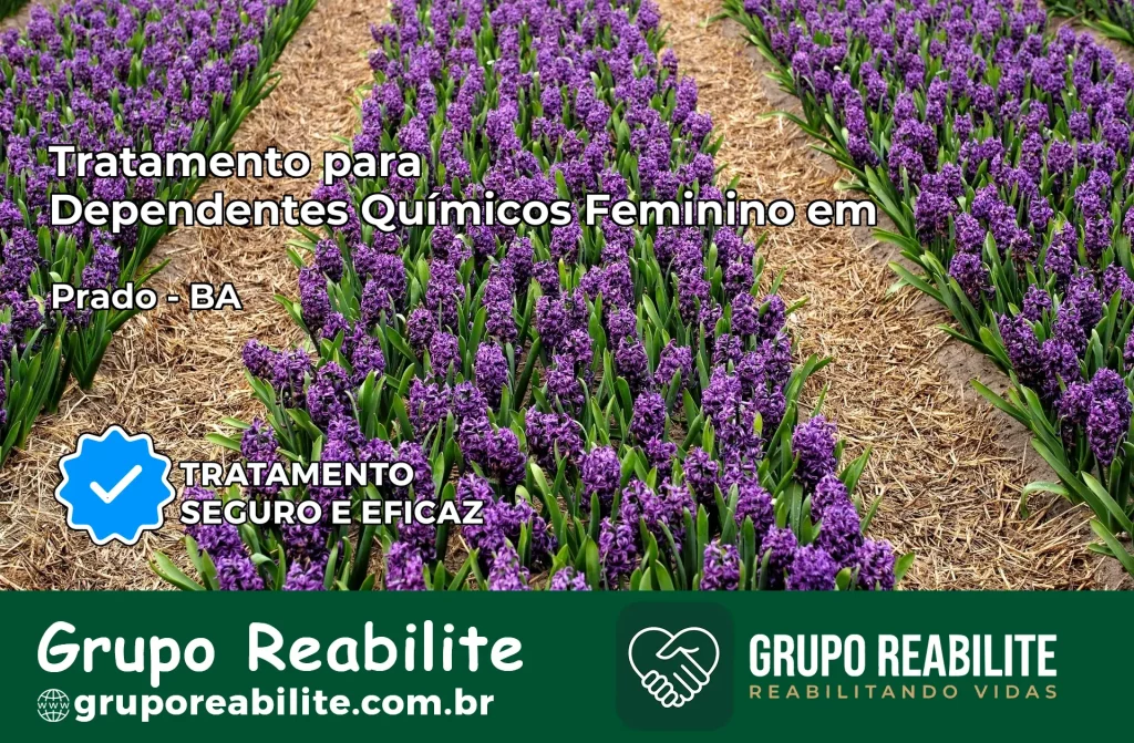 Tratamento para Dependentes Químicos Feminino em Prado – BA