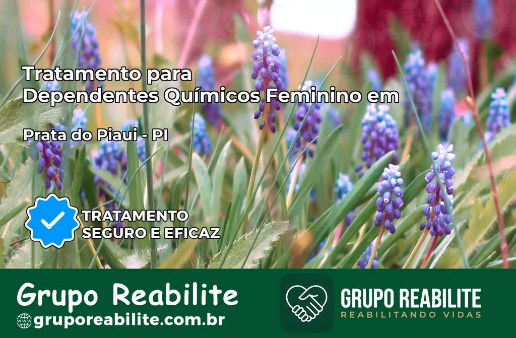Tratamento para Dependentes Químicos Feminino em Prata do Piauí – PI