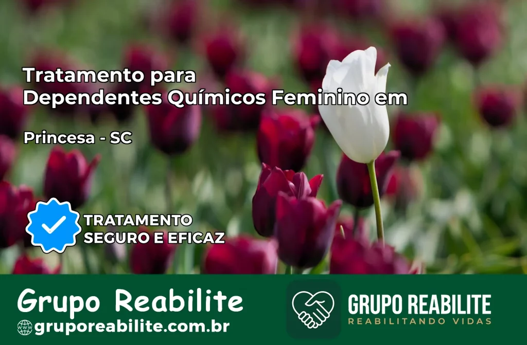 Tratamento para Dependentes Químicos Feminino em Princesa – SC
