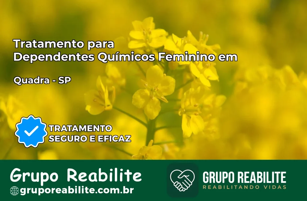 Tratamento para Dependentes Químicos Feminino em Quadra – SP