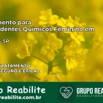 Tratamento para Dependentes Químicos Feminino em Quadra – SP