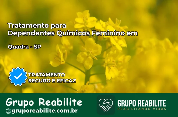 Tratamento para Dependentes Químicos Feminino em Quadra – SP