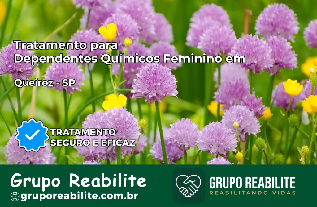 Tratamento para Dependentes Químicos Feminino em Queiroz – SP