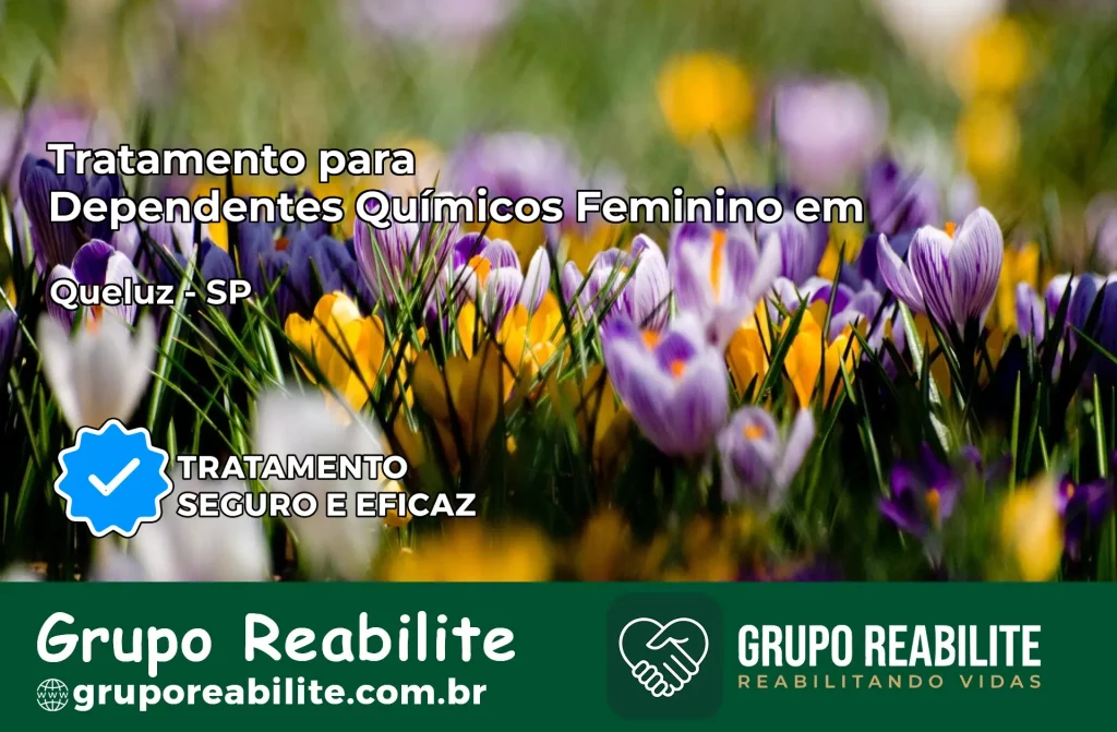 Tratamento para Dependentes Químicos Feminino em Queluz – SP