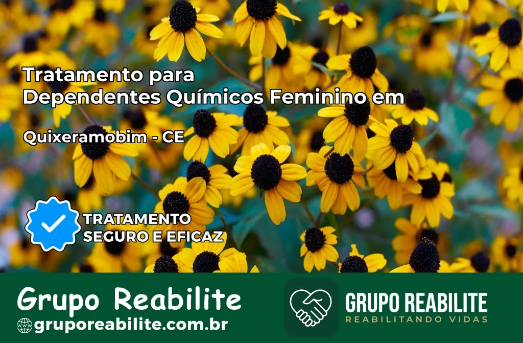 Tratamento para Dependentes Químicos Feminino em Quixeramobim – CE