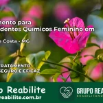 Tratamento para Dependentes Químicos Feminino em Resende Costa – MG