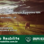 Tratamento para Dependentes Químicos Feminino em Ribeirão dos Índios – SP