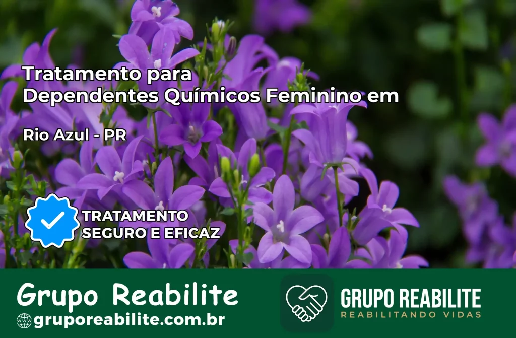 Tratamento para Dependentes Químicos Feminino em Rio Azul – PR