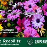 Tratamento para Dependentes Químicos Feminino em Rio da Conceição – TO