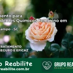 Tratamento para Dependentes Químicos Feminino em Rio do Campo – SC
